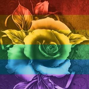 Meet your Posher, Yolanda